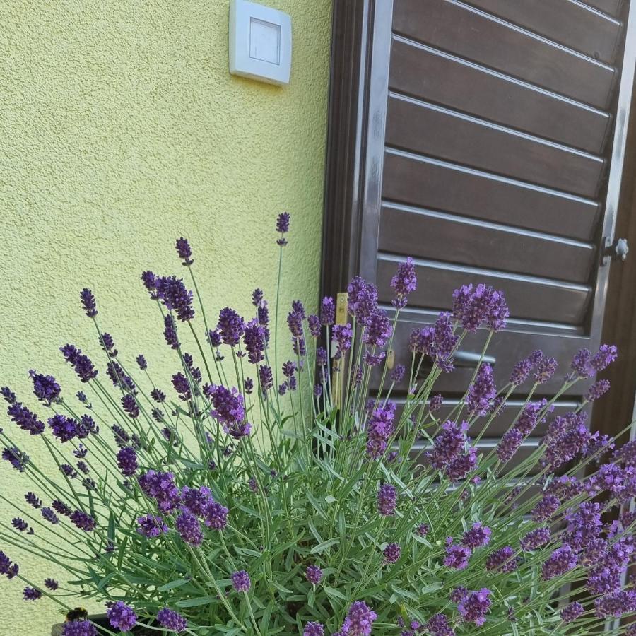 Harmony Apartment קופר מראה חיצוני תמונה